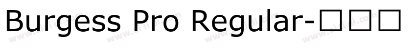 Burgess Pro Regular字体转换